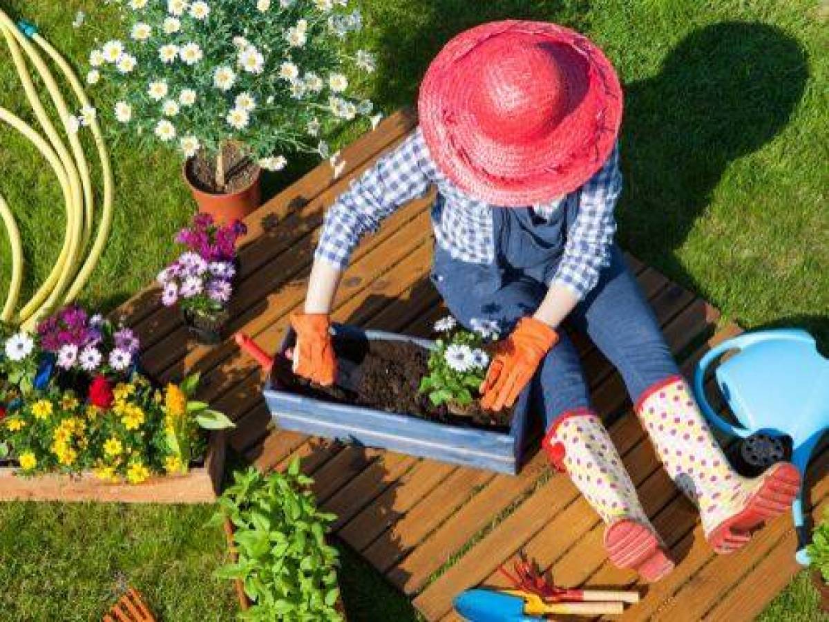 Kilka inspirujących projektów ogrodów, które każdy może zrobić, aby zwiększyć atrakcyjność swojego domu